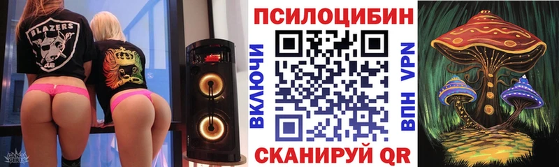 кракен ONION Севастополь Галлюциногенные грибы Psilocybe