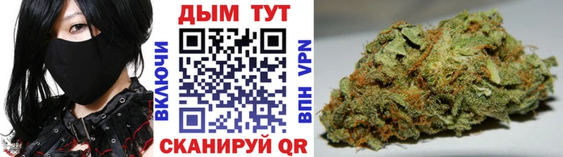 Каннабис план  где найти наркотики  Севастополь 